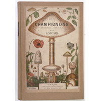 fai click sull'immagine per altre foto