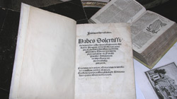 Un angolo di salotto invaso dai libri